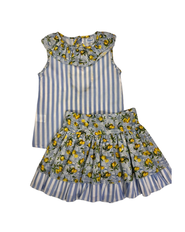 Conjunto de falda flores y rayas
