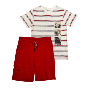 Conjunto short playera rayas dino