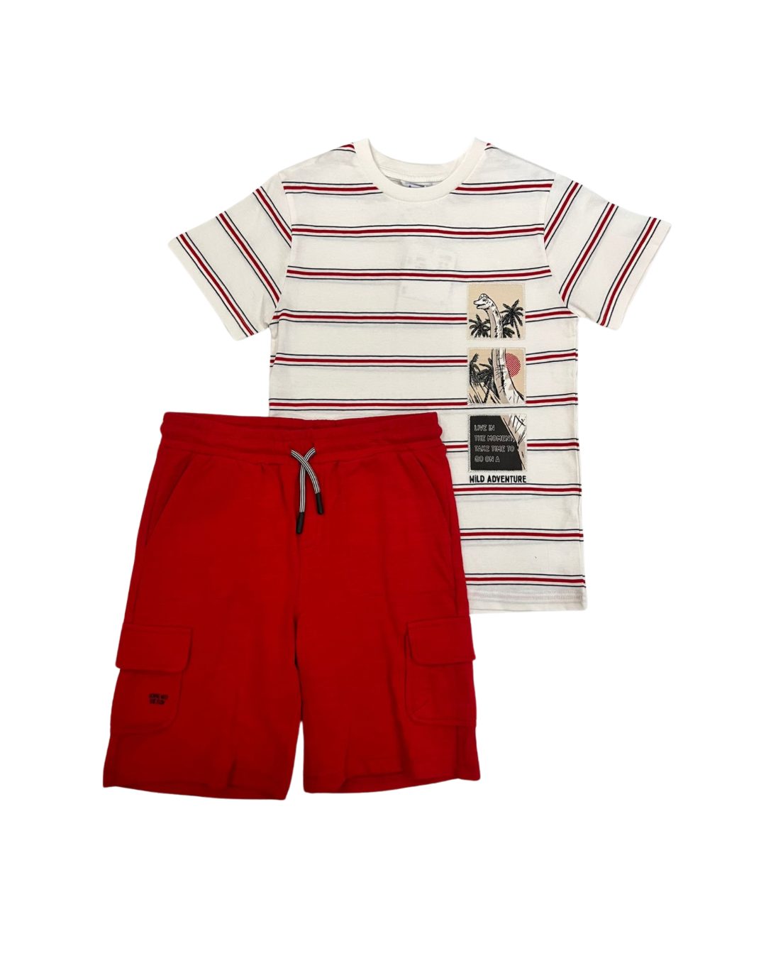 Conjunto short playera rayas dino