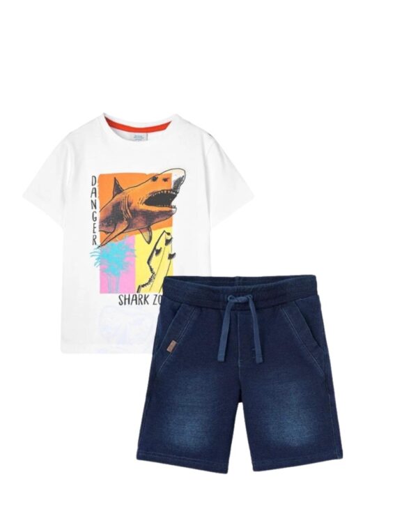 Conjunto short p/tiburón